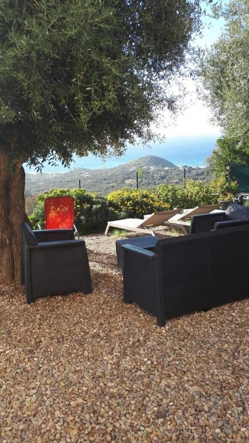 Location Proche Saint-florent * Farinole