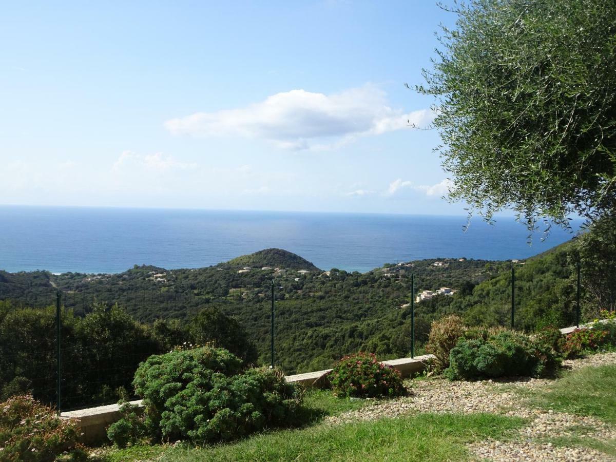 Location Proche Saint-florent *