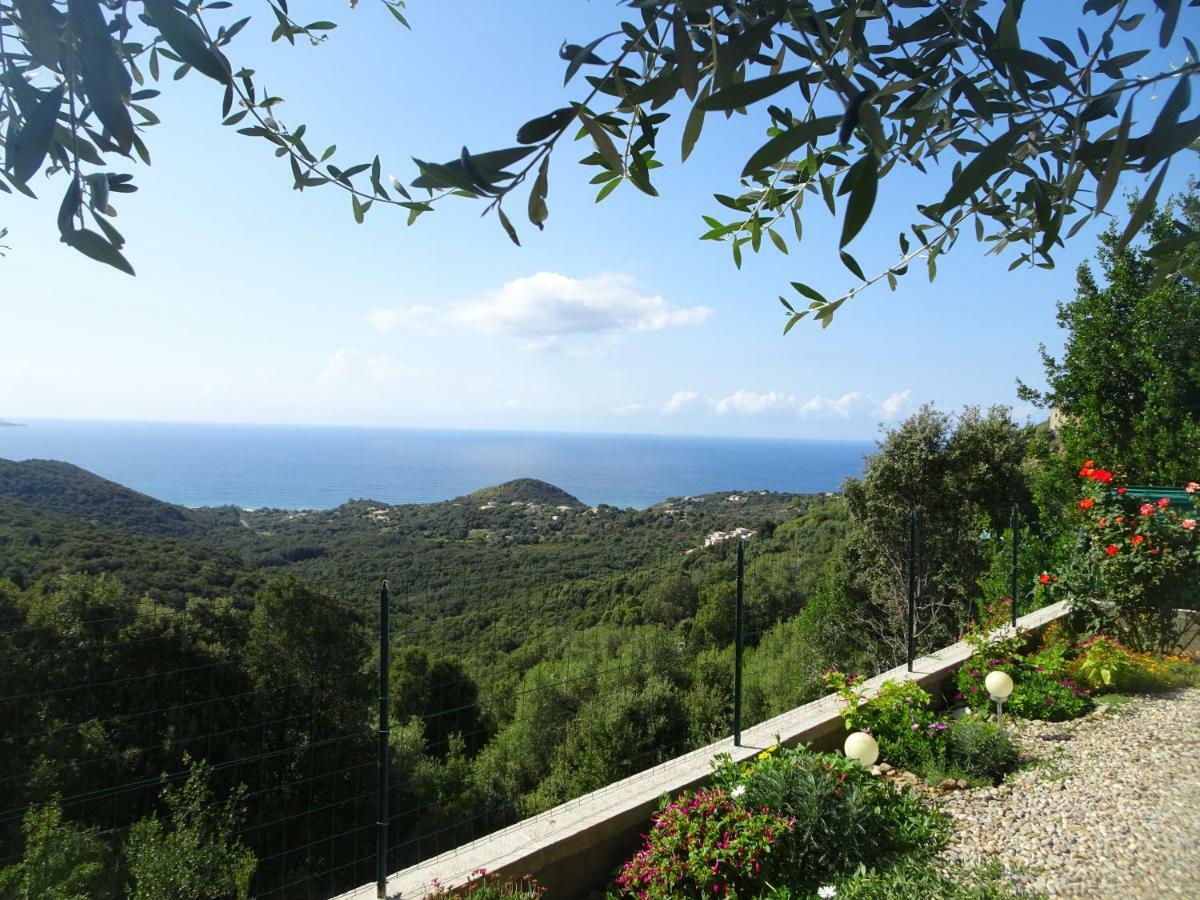 Location Proche Saint-florent * Farinole